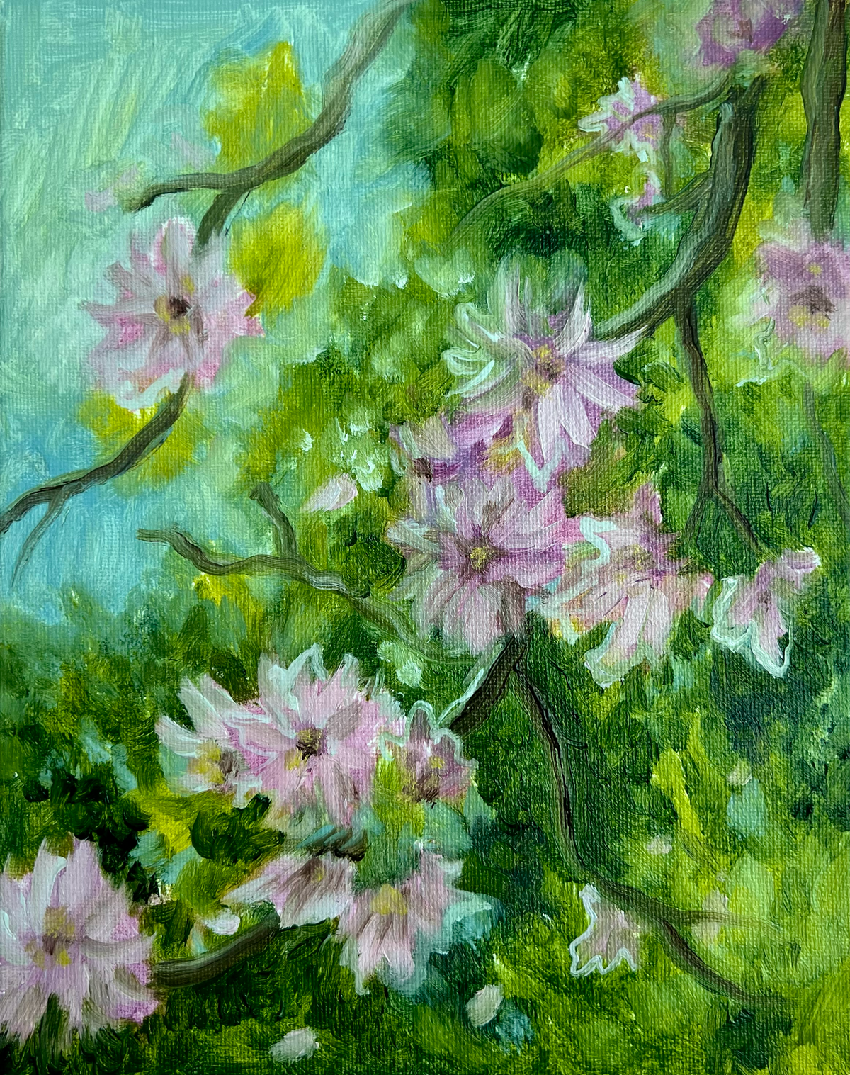 Cherry Blossoms