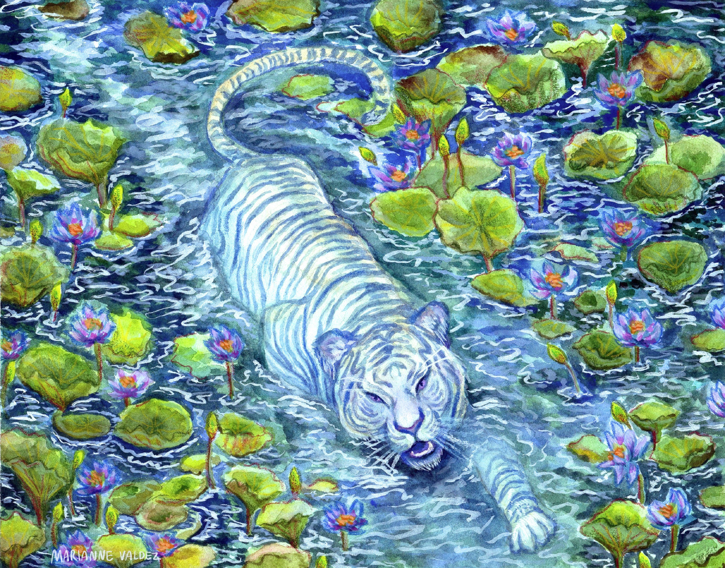 Water Tiger
