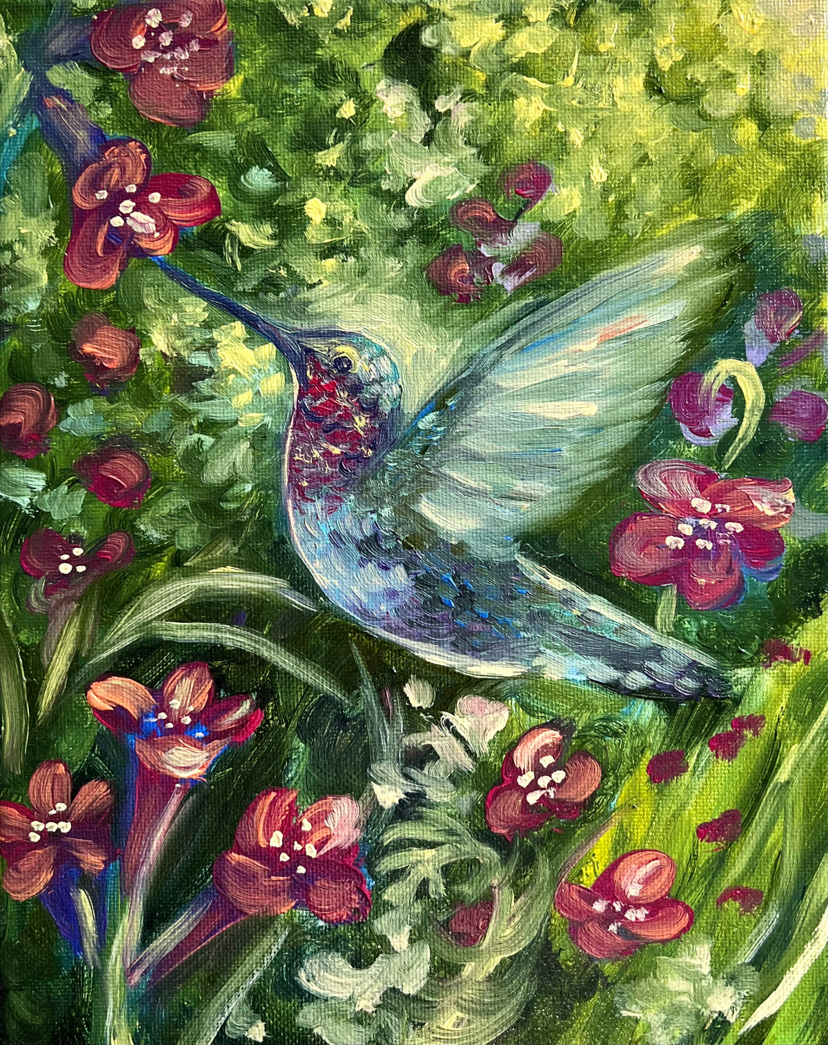 Anna's Hummingbird