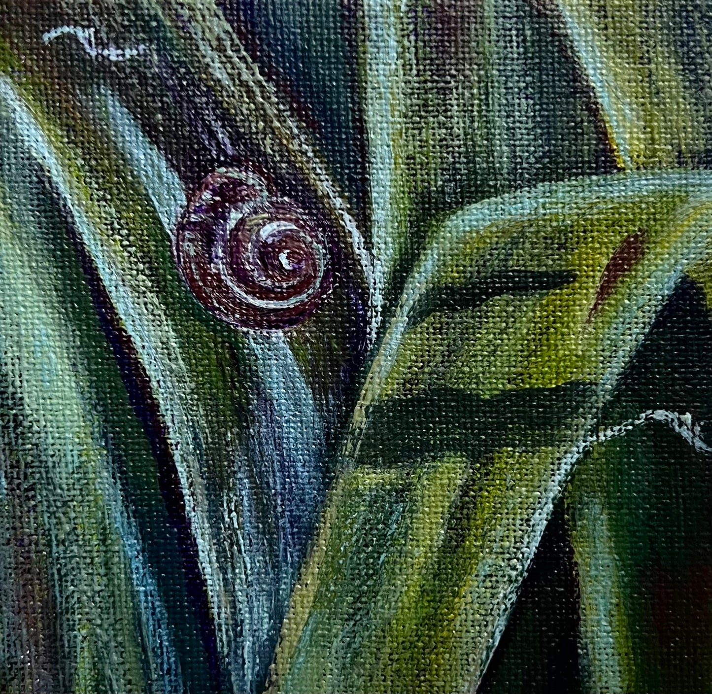 Mini Snail Garden