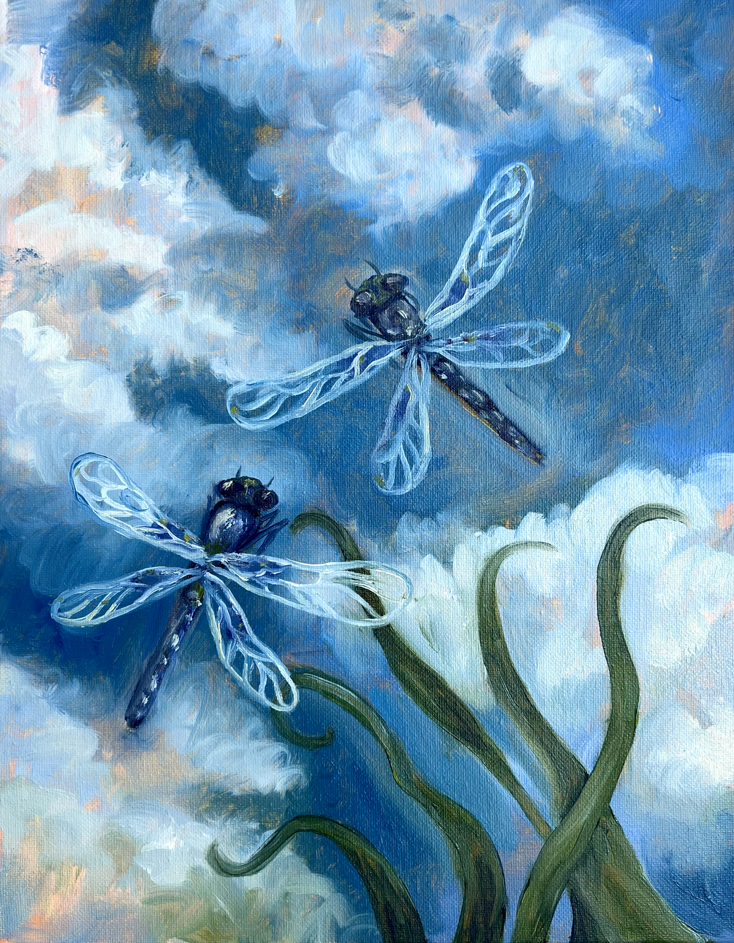 Blue Dragonflies