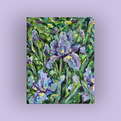 Bearded Iris