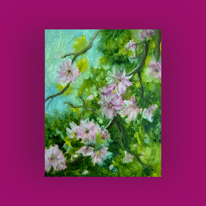 Cherry Blossoms