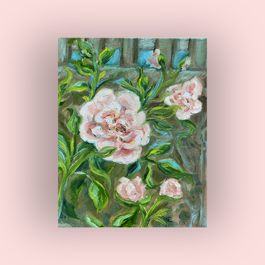 Climbing Roses