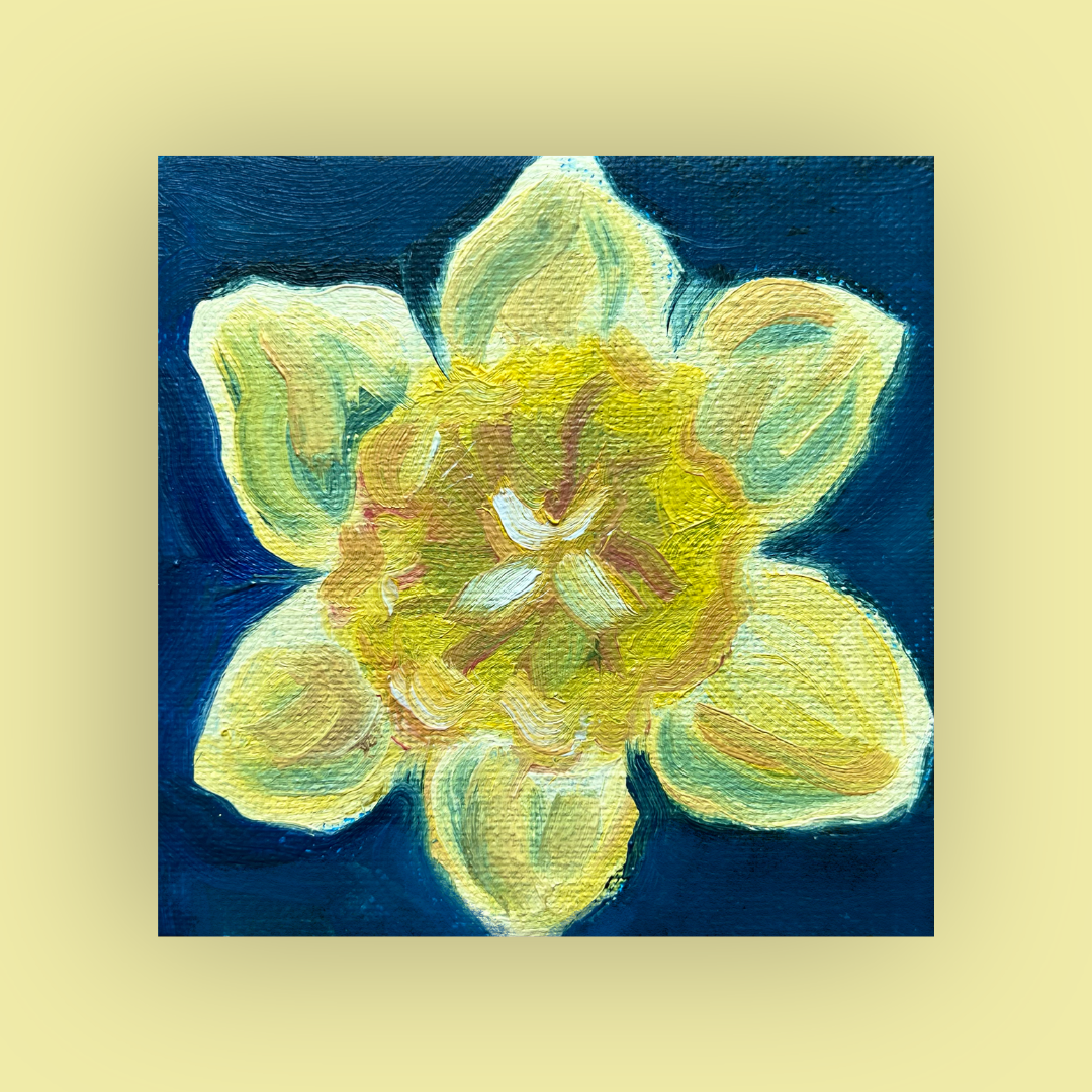 Mini Daffodil