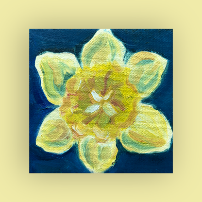 Mini Daffodil