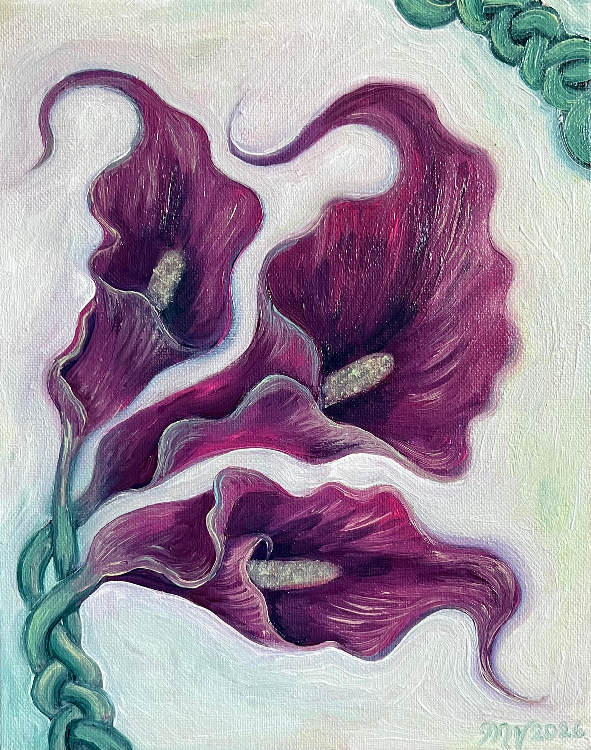 Intertwined Calla Lilies