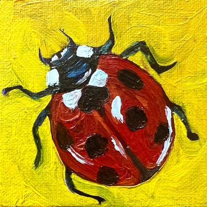 Mini Ladybug