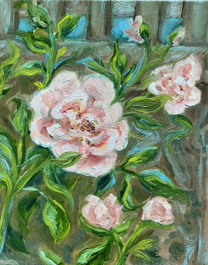 Climbing Roses