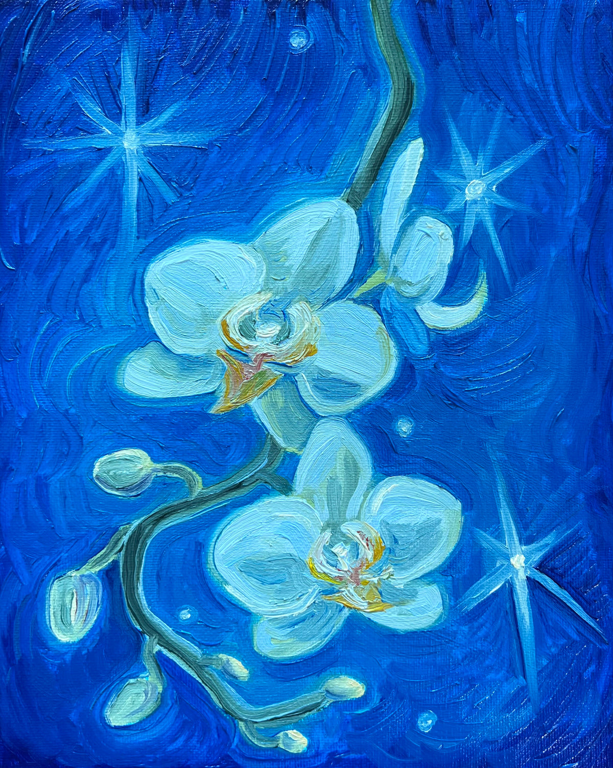 Moonlit Orchids
