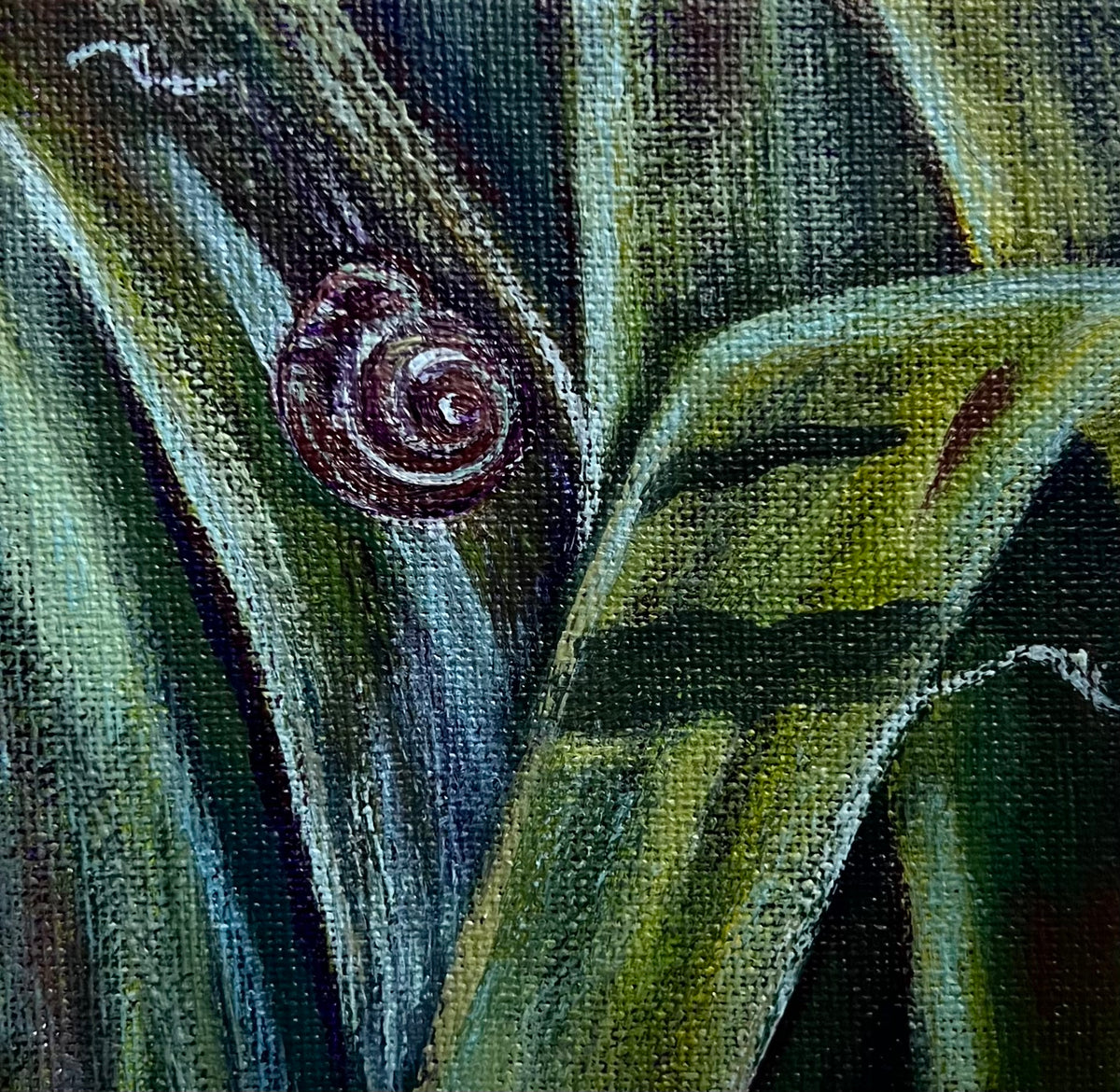 Mini Snail Garden