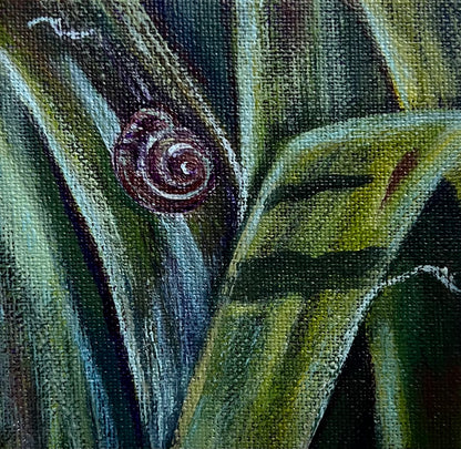 Mini Snail Garden
