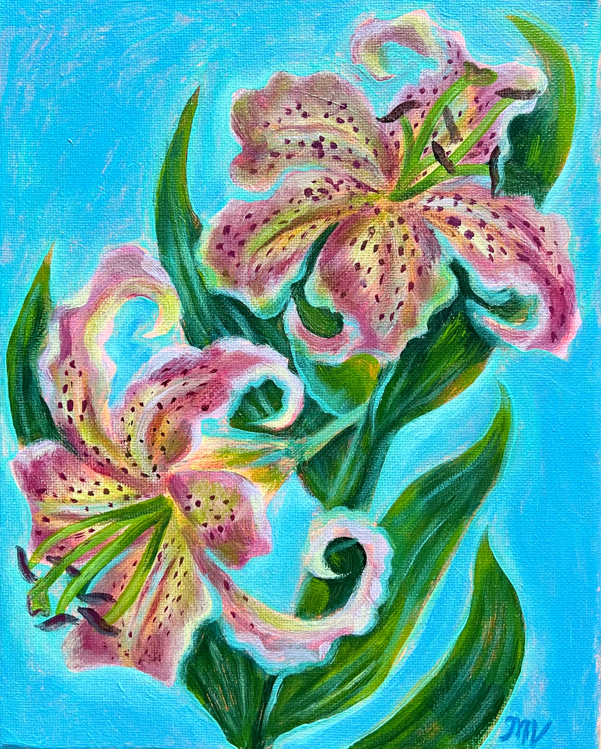 Stargazer Lillies